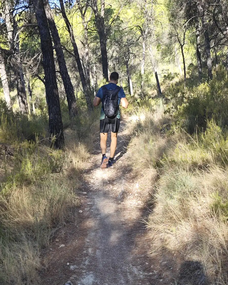 José, subiendo un sendero entre pinos